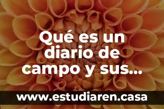 Qué es un diario de campo y sus características