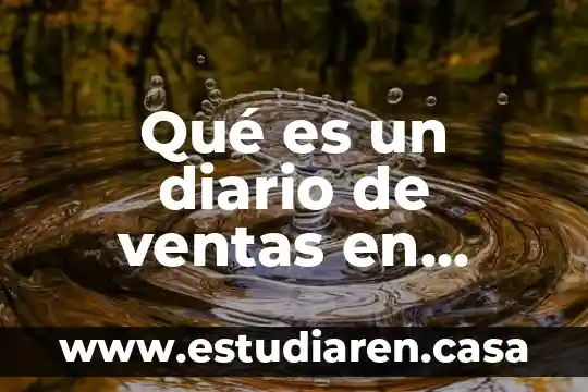 Qué es el salario diario en México 6 Qué es un diario de ventas en contabilidad