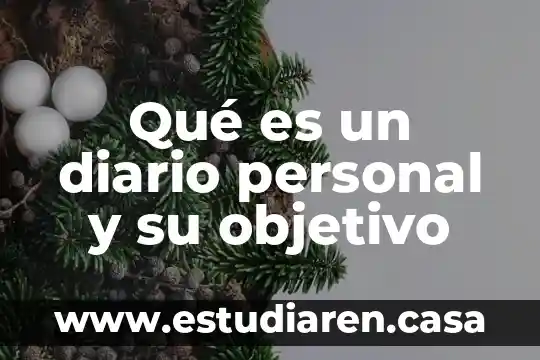 Qué es el salario diario en México 4 Qué es un diario personal y su objetivo