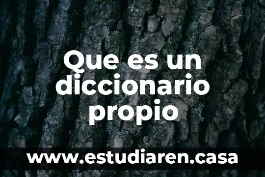 Que es el flujo de efectivo concepto propio 7 Que es un diccionario propio