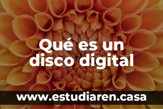 Que es mejor bascula digital o analoga 6 Qué es un disco digital