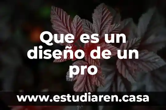 Diseño aplicativo web que es 6 Que es un diseño de un pro