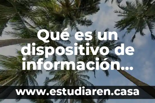 Qué es el dispositivo intra uterino y para qué sirve 8 Qué es un dispositivo de información táctil