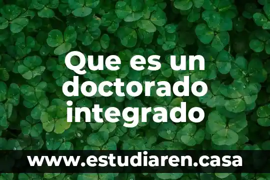 Que es circuito integrado en informatica 8 Que es un doctorado integrado