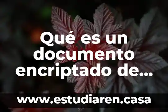 Que es una presentacion en un documento 4 Qué es un documento encriptado de la diot