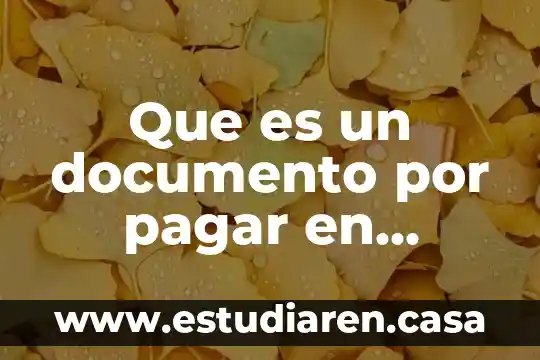 Que es un documento por pagar en contabilidad