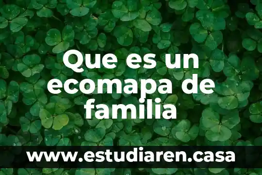 Que es un ecomapa de familia