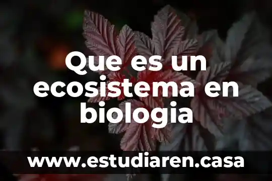 Que es un ecosistema en biologia