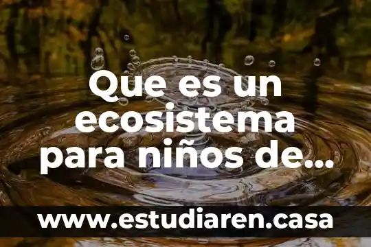 Que es un ecosistema para niños de cuarto grado primaria