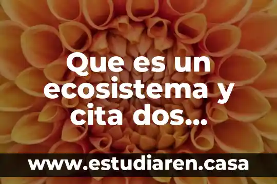 Que es un ecosistema y cita dos ejemplos