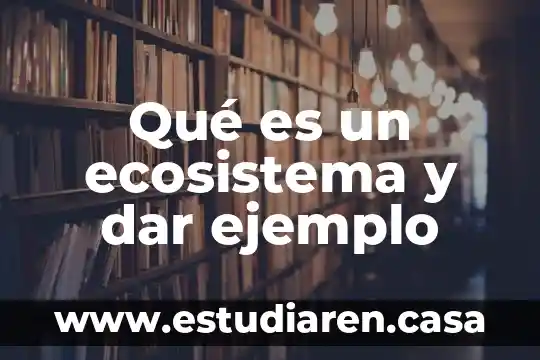 Qué es un ecosistema y dar ejemplo