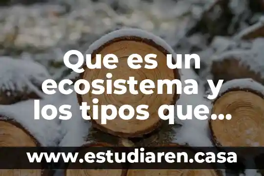 Que es un ecosistema y los tipos que existen