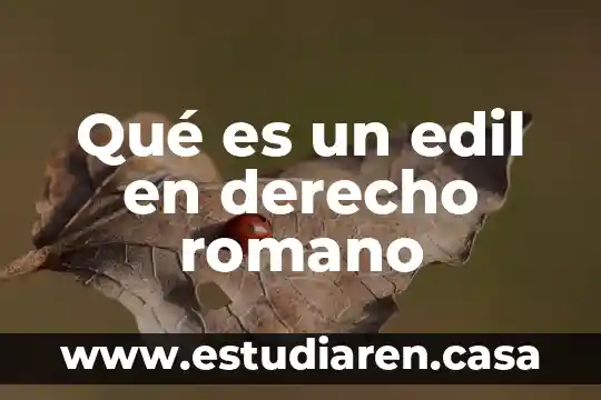 Que es novellae en derecho romano 5 Qué es un edil en derecho romano