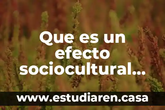 Efecto gorila que es 3 Que es un efecto sociocultural de la globalizacion