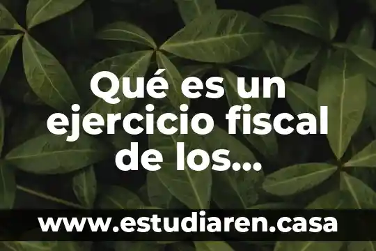 Que es la constancia de identificacion fiscal 5 Qué es un ejercicio fiscal de los municipios