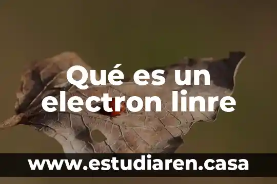 Que es yn electron 8 Qué es un electron linre
