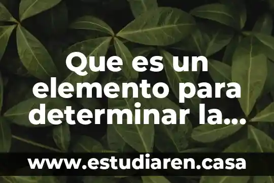 Que es determinar y un ejemplo 6 Que es un elemento para determinar la rejiona isacion