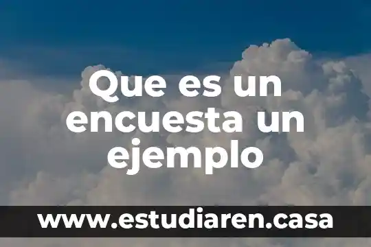 Que es un encuesta un ejemplo