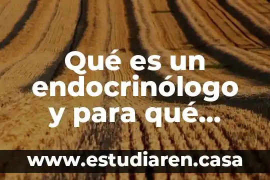 Qué es el RTU y para qué sirve 6 Qué es un endocrinólogo y para qué sirve