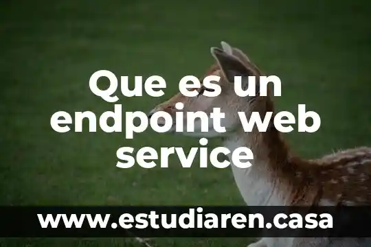 Que es diseño de apps y sitios web 7 Que es un endpoint web service