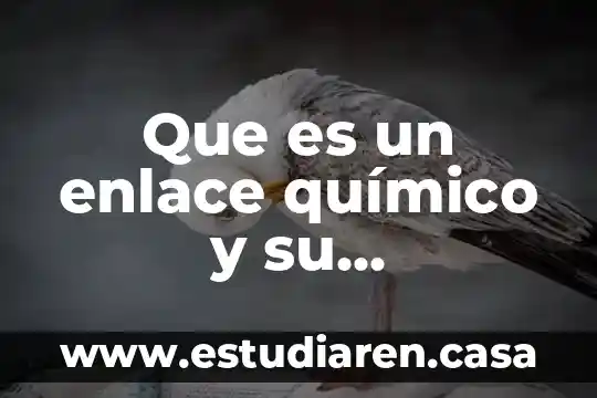 Que es un enlace químico y su clasificación