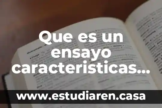 Que es un cuento partes del cuento 4 Que es un ensayo caracteristicas y sus partes