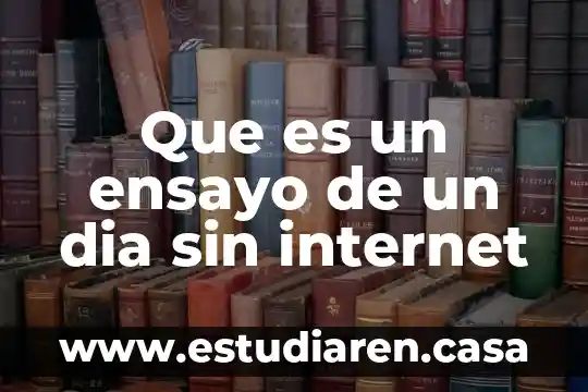 Que es la saturacion innecesaria dé informacion en internet 4 Que es un ensayo de un dia sin internet
