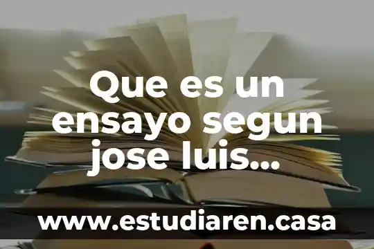 Qué es el Plan de San Luis de Potosí 8 Que es un ensayo segun jose luis martinez
