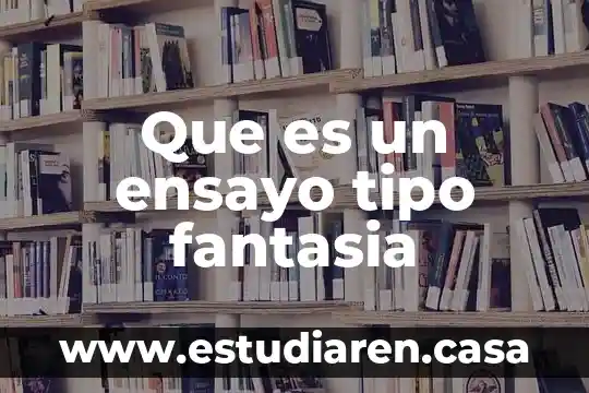 Que es centro de salud tipo a 4 Que es un ensayo tipo fantasia