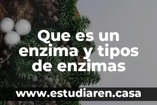 Que es un enzima y tipos de enzimas