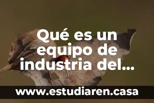Que es la industria de la limpieza 3 Qué es un equipo de industria del vestido