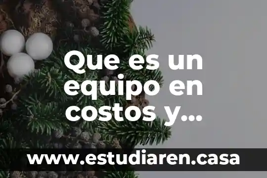 Que es un equipo en costos y presupuestos