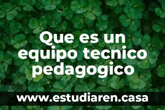 Que es un equipo tecnico pedagogico