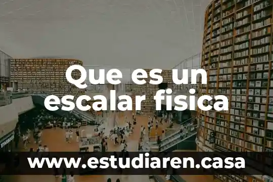 En fisica que es escalar 4 Que es un escalar fisica