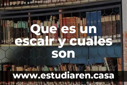 Que es un escalr y cuales son