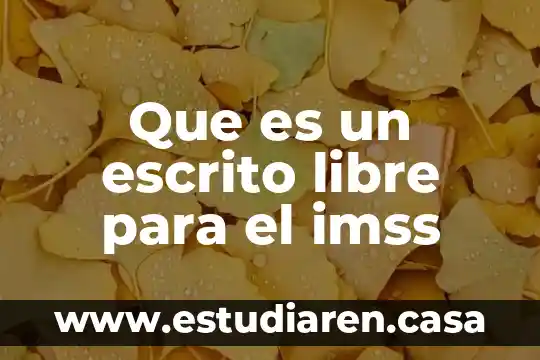 Que es respuesta de recuperacion segun imss 4 Que es un escrito libre para el imss