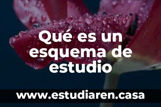 Por que es importante que el alumno estudio 5 Qué es un esquema de estudio