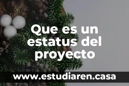 Qué es la viabilidad de un proyecto empresarial 3 Que es un estatus del proyecto