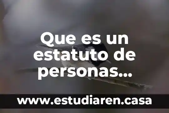 Que es un estatuto de personas morales 12 Que es un estatuto de personas morales