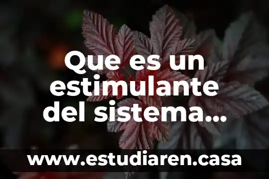 Que es el sistema nervioso para niños de preescolar 6 Que es un estimulante del sistema nervioso central