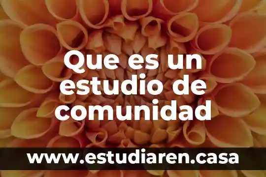 Por que es importante que el alumno estudio 3 Que es un estudio de comunidad