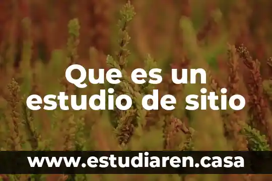 Que es protocolos de seguridad en un sitio web 6 Que es un estudio de sitio