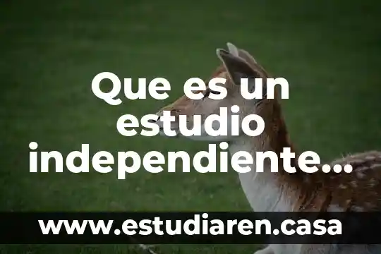 Que es un estudio independiente como llevarla acabo