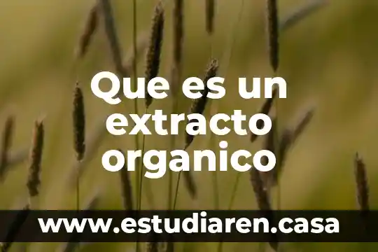 Que es un extracto organico