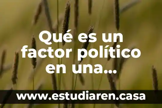 Que es el partido politico panal 4 Qué es un factor político en una empresa
