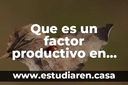 Qué es rating en economía 4 Que es un factor productivo en economia