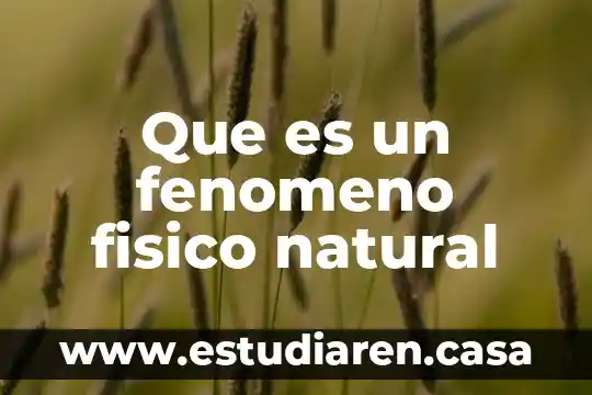 Que es el fenomeno politico economico 8 Que es un fenomeno fisico natural