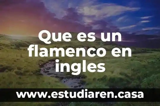 Que es verbo auxiliar do en ingles 7 Que es un flamenco en ingles
