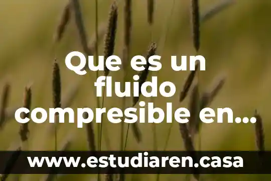 Que es un fluido compresible en fisica