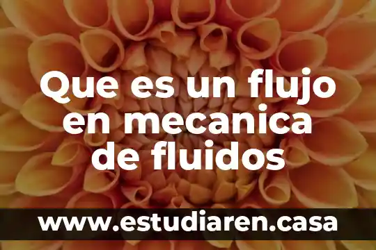 Que es trabajo en mecanica de fluidos 5 Que es un flujo en mecanica de fluidos